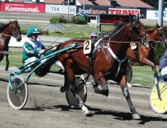 Ugly Duckling 160704-3